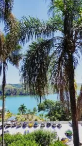 5327309c-8858-4f55-8c98-4f8e96fabffc