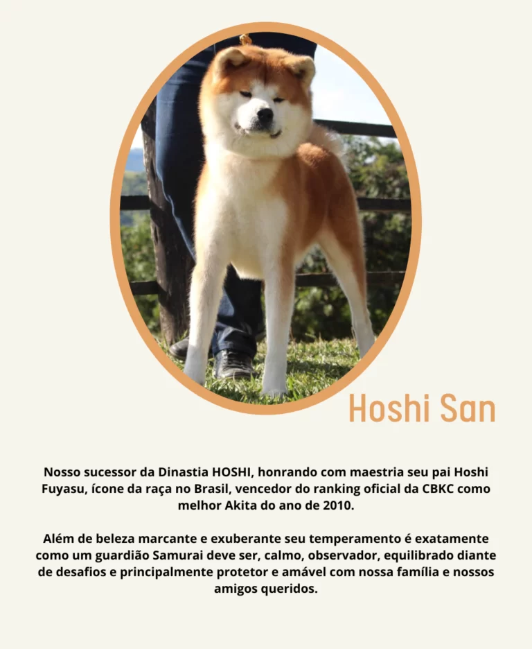 Rei Ele é o percursor do seu legado, com suas características únicas dando origem a Dinastia Rei. Porte digno de um potente guardião japonês, ossatura que impressiona, expressão que encanta, e tem - 2