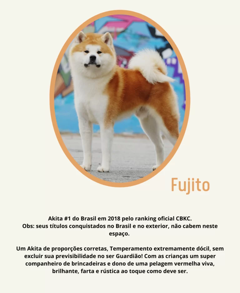 Rei Ele é o percursor do seu legado, com suas características únicas dando origem a Dinastia Rei. Porte digno de um potente guardião japonês, ossatura que impressiona, expressão que encanta, e tem - 4