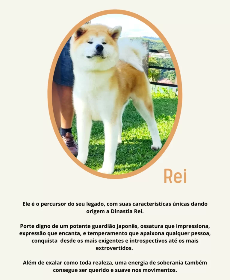 Rei Ele é o percursor do seu legado, com suas características únicas dando origem a Dinastia Rei. Porte digno de um potente guardião japonês, ossatura que impressiona, expressão que encanta, e tem - 5