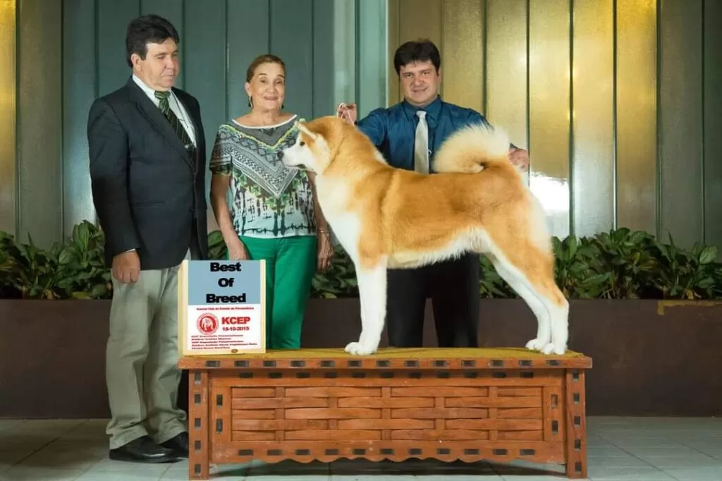 WhatsApp Image 2023-11-10 at 11.06.27